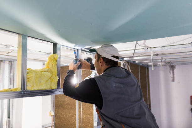 Best Commercial Insulation in Sandy Springs, SC