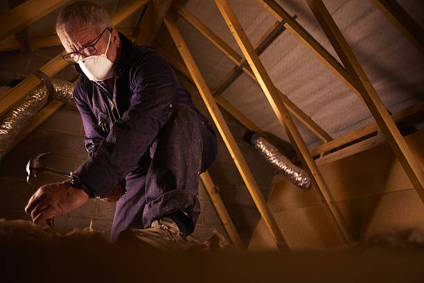 Best Insulation Maintenance and Repair in Sandy Springs, SC